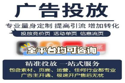 百度推广全攻略：成功案例剖析